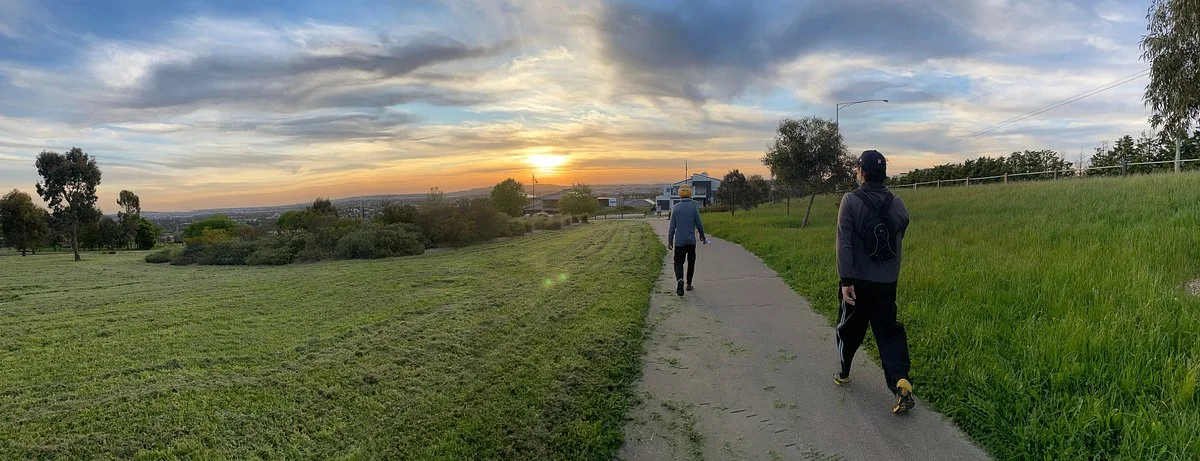 Mount Ridley Lookout