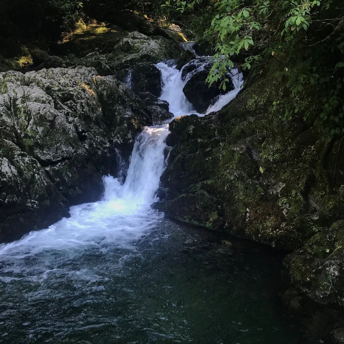 Riwaka Resurgence