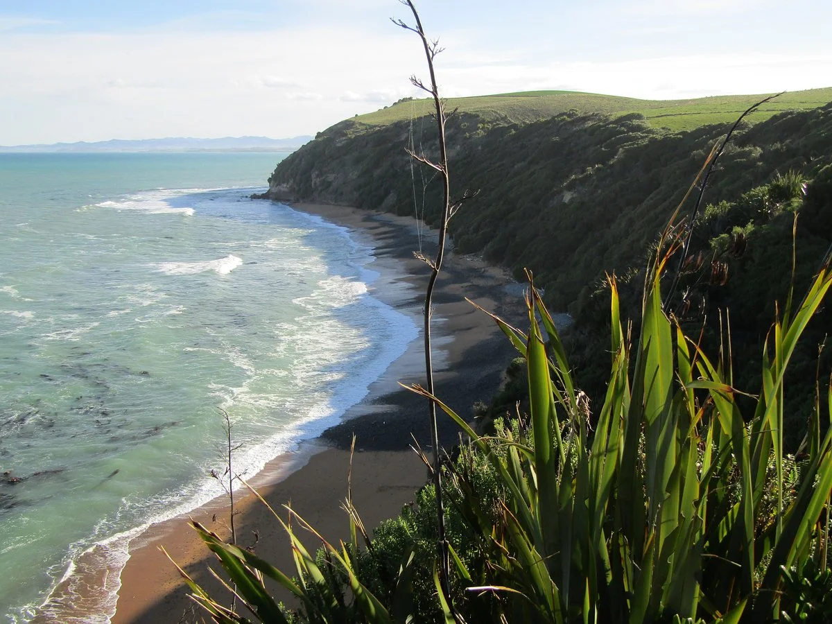 Bushy Beach Track