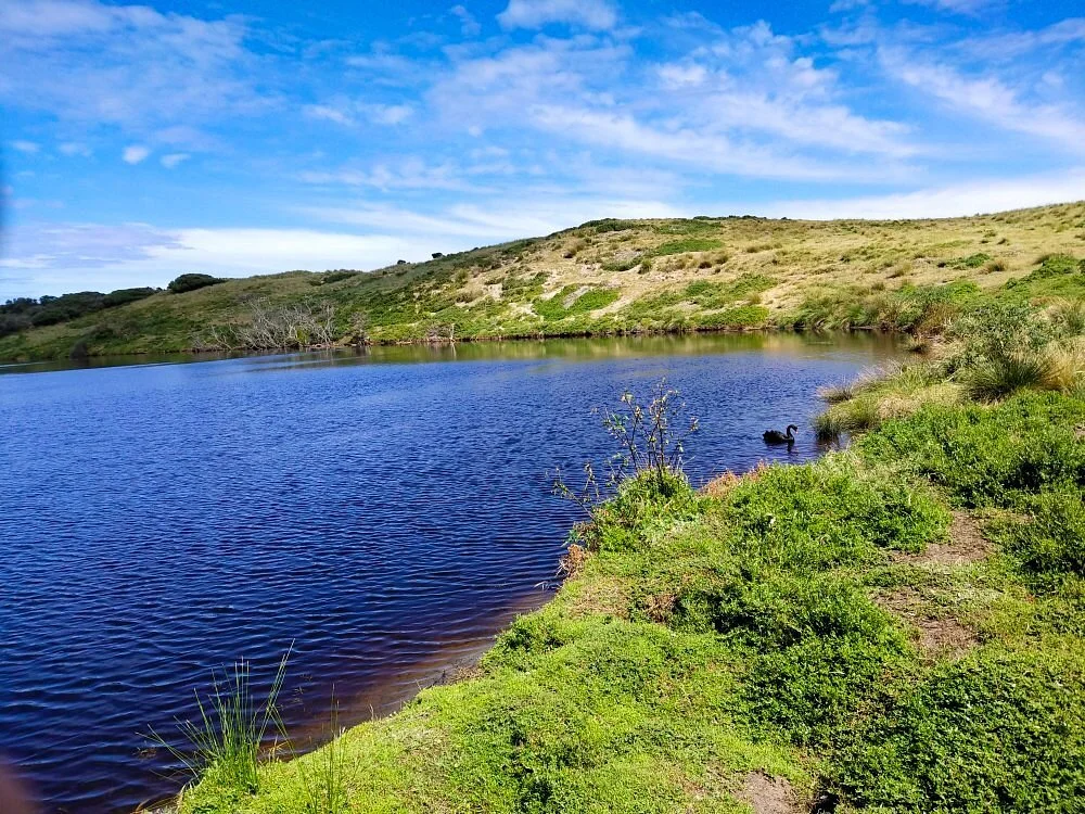 Swan Lake Trail