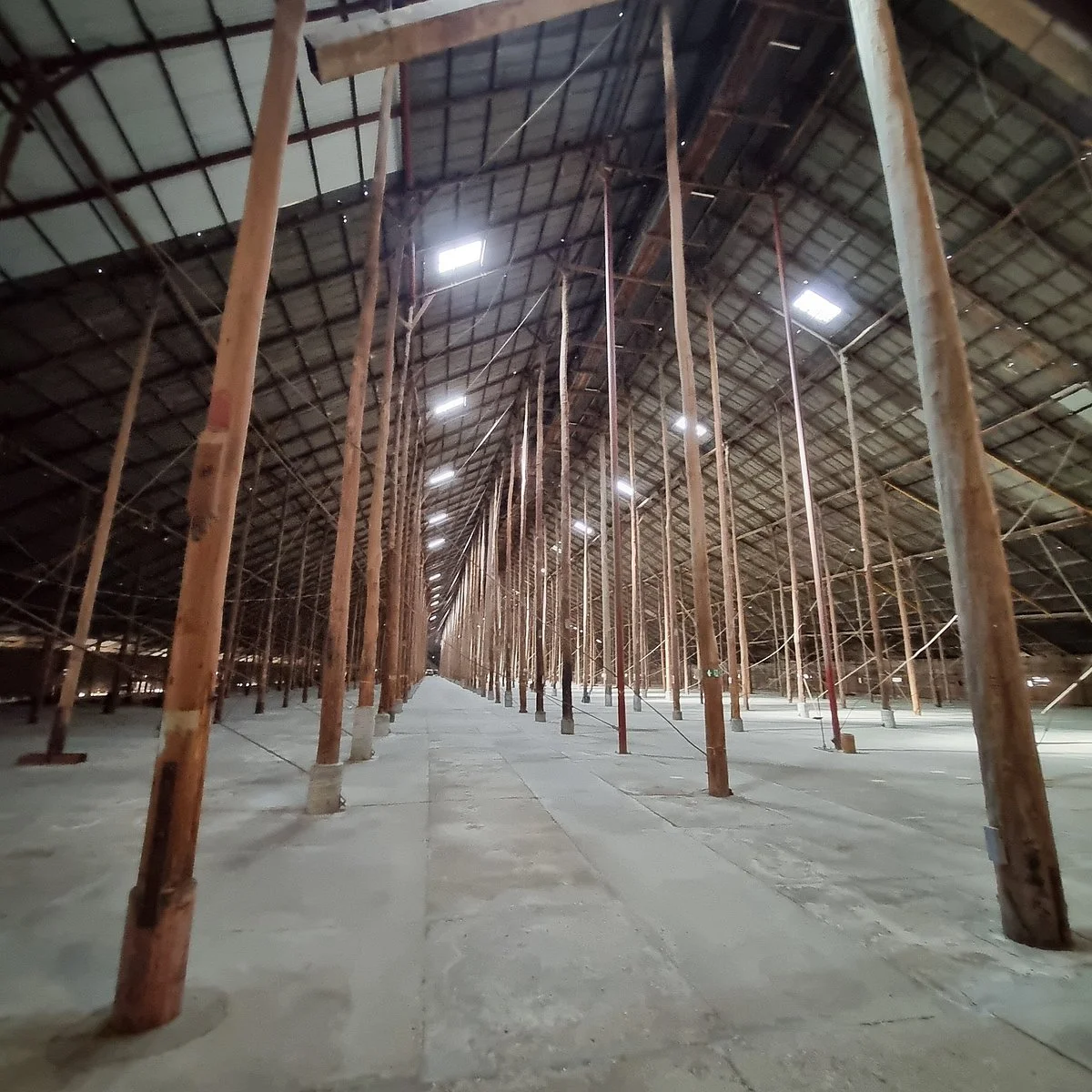 The Stick Shed at Murtoa