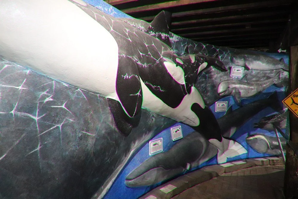 South Australia Whale Centre