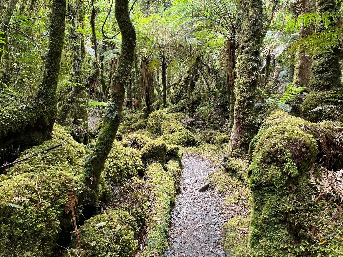 Moraine Walk