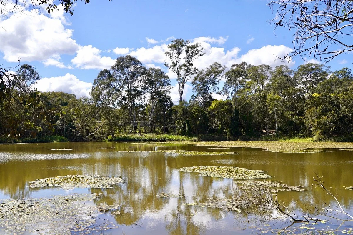 Berrinba Wetlands Park