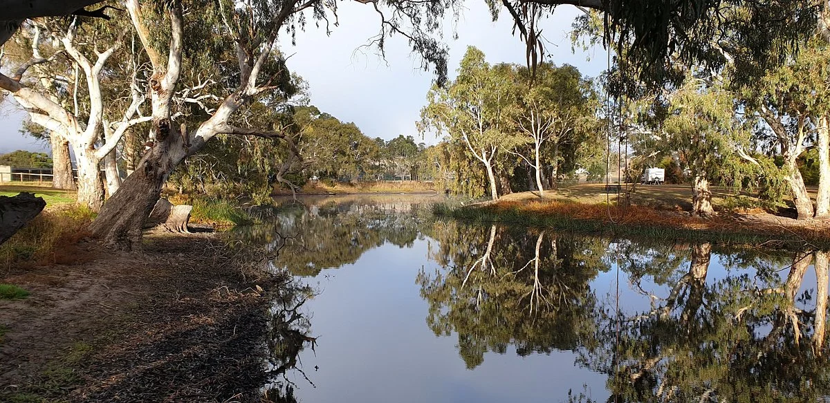 Ess Lagoon Reserve