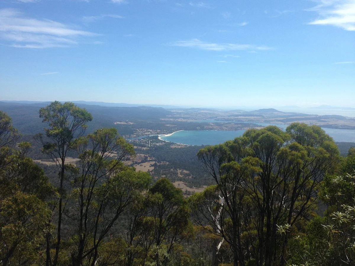 Three Thumbs Lookout
