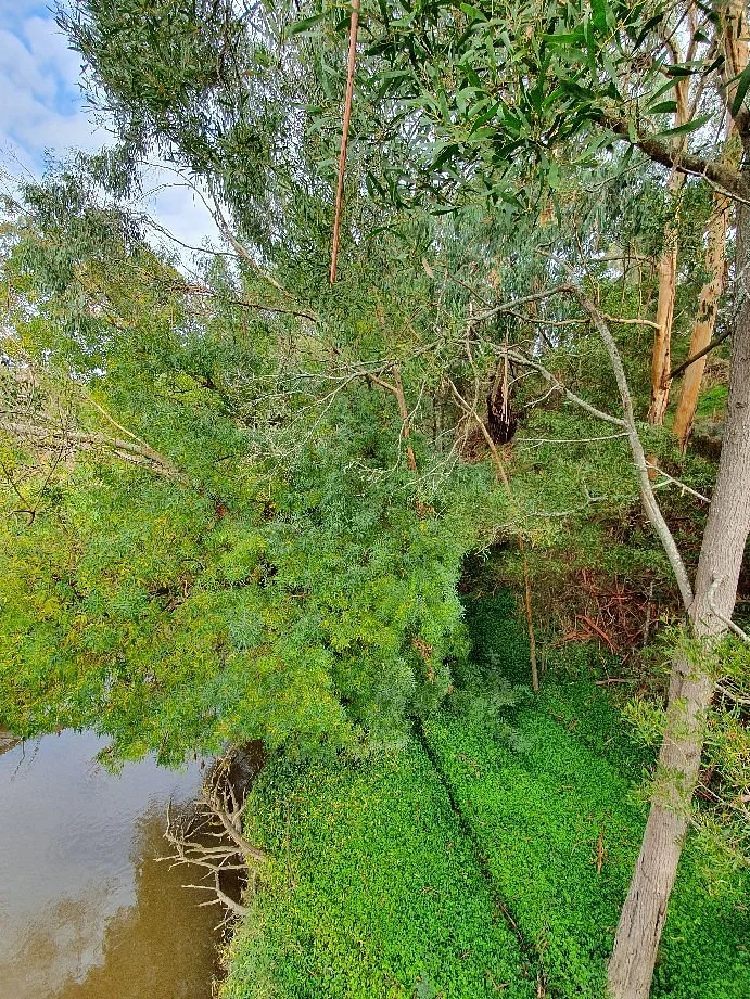 Great Southern Rail Trail