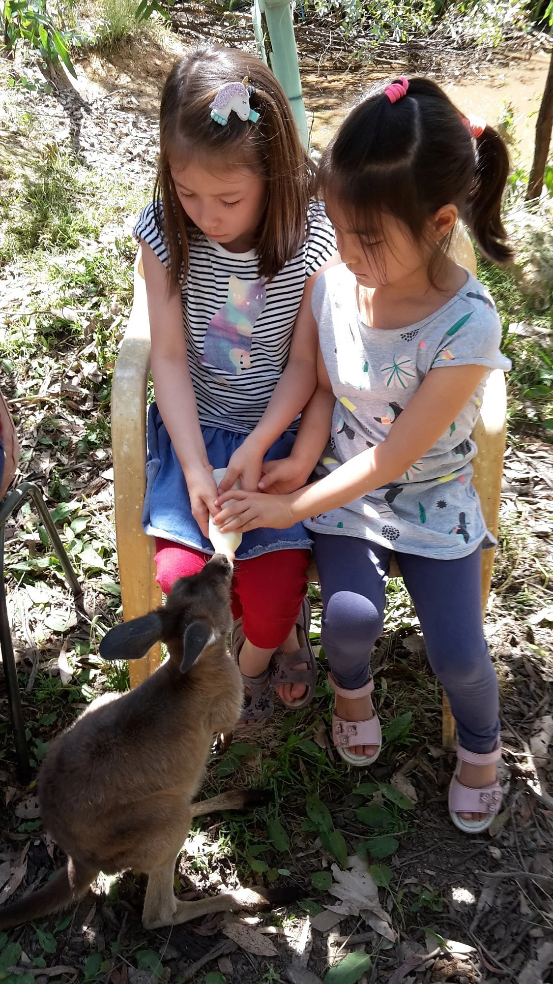 Tinakori Animal Farm Stay