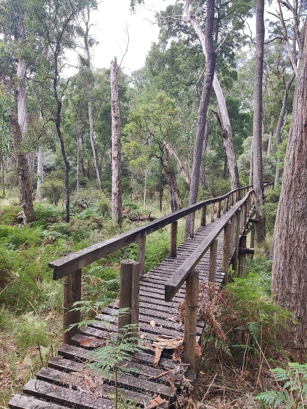 Cobboboonee National Park