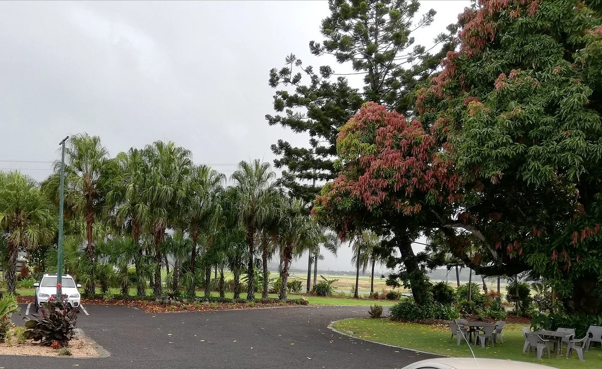 Whitsunday Gold Coffee Plantation
