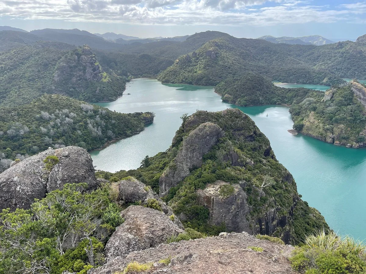 Whangaroa Harbour