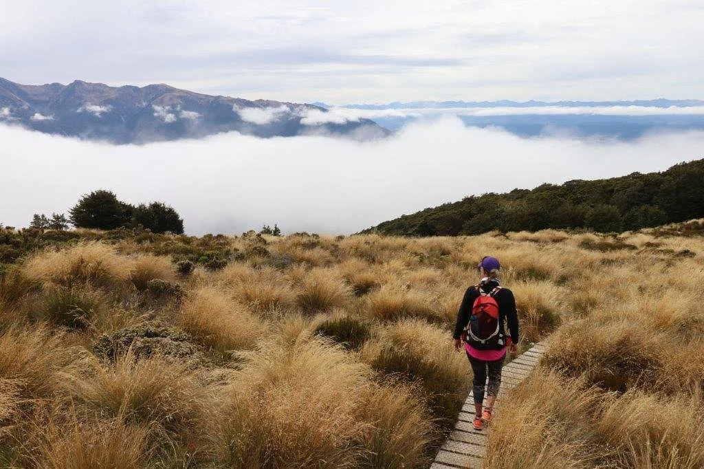 Luxmore Hut Track