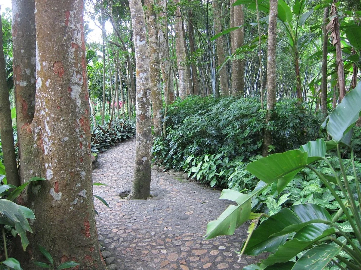 Xinglong Tropical Botanical Garden