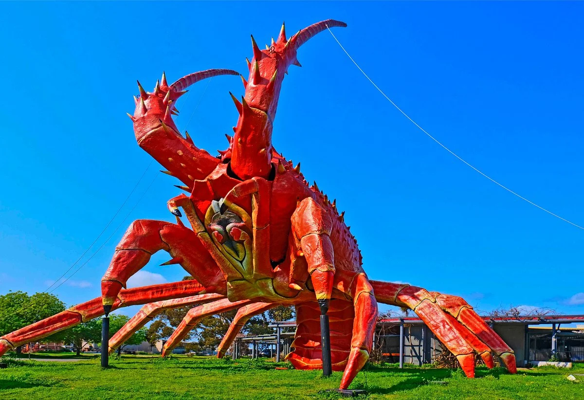 The Big Lobster