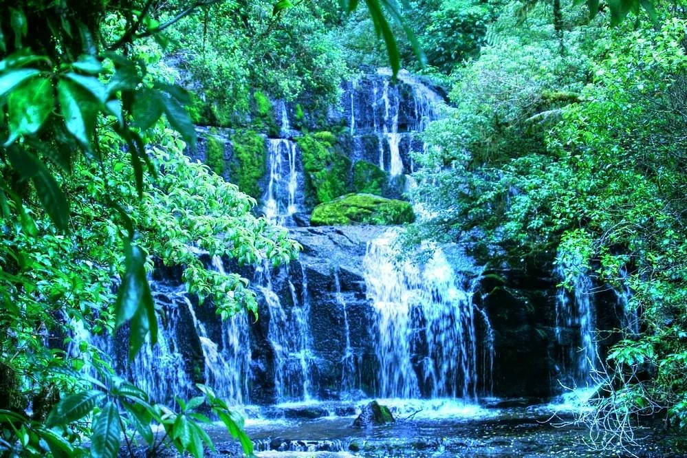 Purakaunui Falls Walk