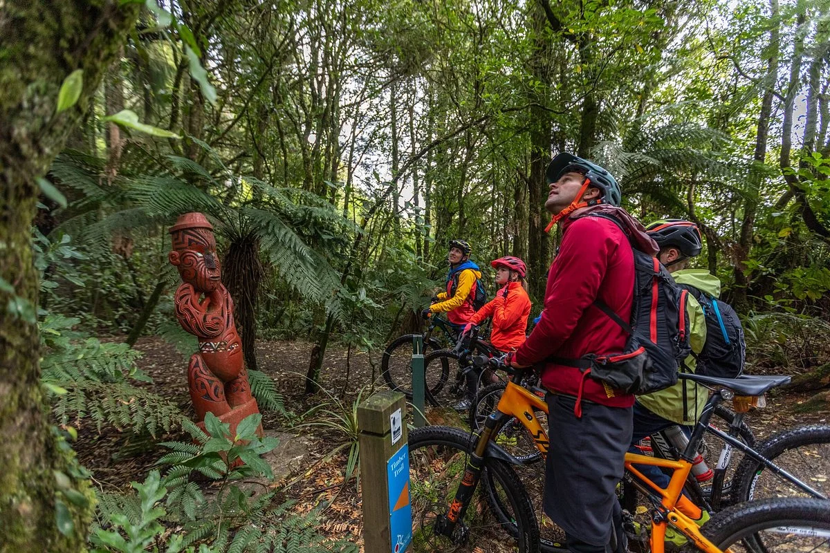 Timber Trail NZ
