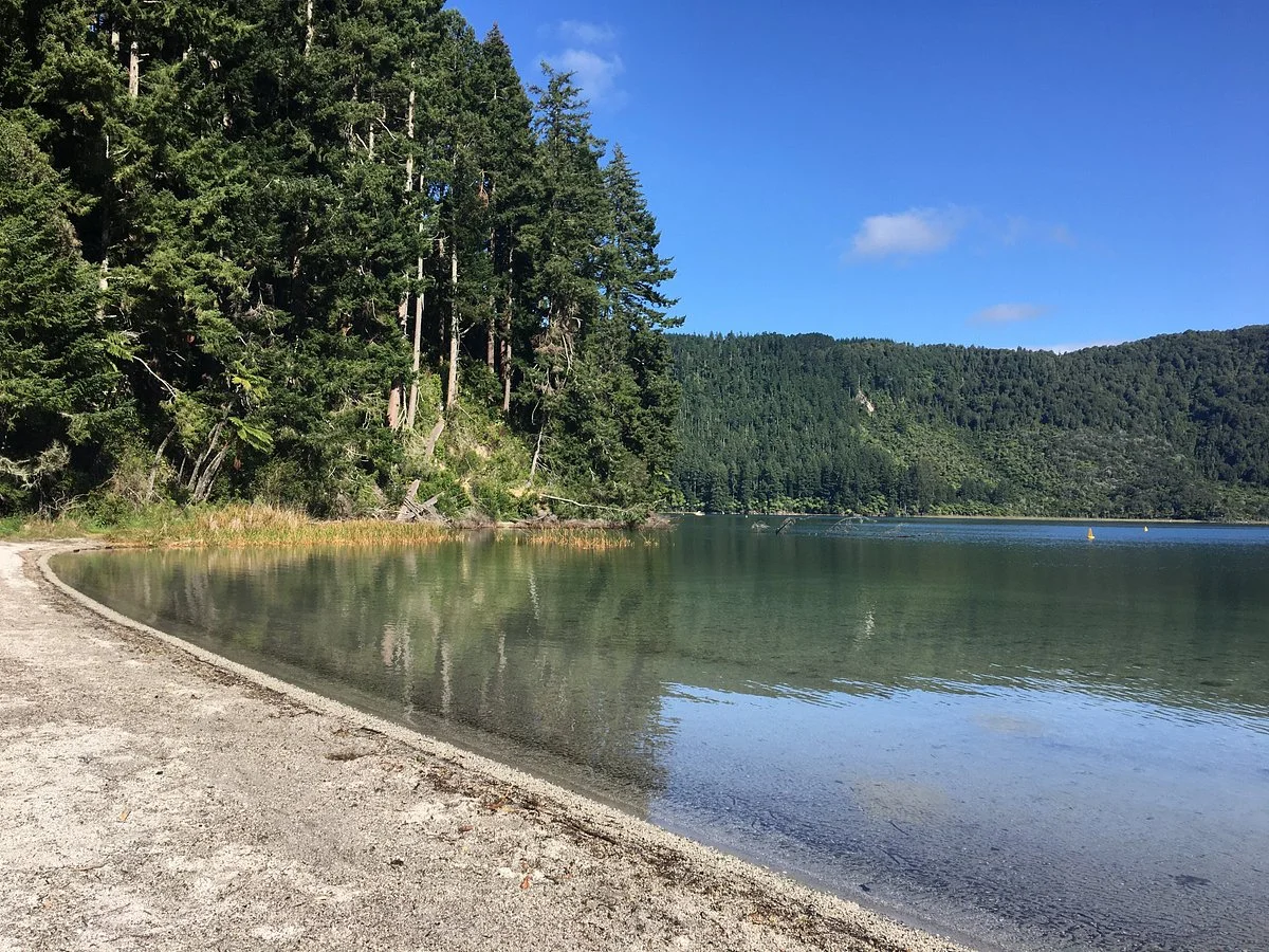 Tikitapu Nature Walk
