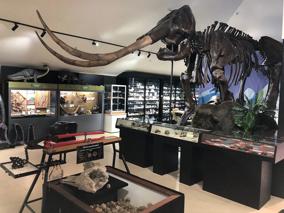 The National Dinosaur Museum