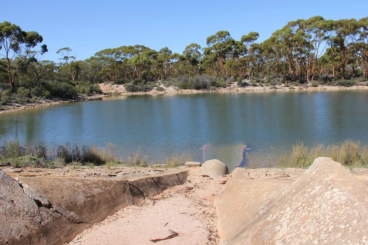 Bromus Dam