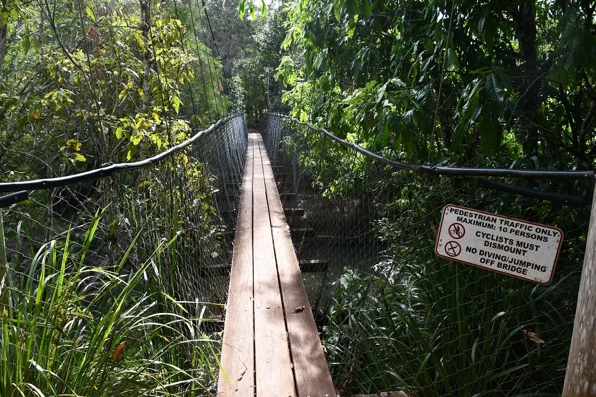 The Peterson Creek Walking Track