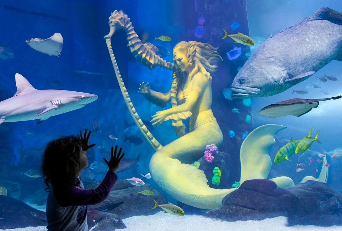 SEA LIFE Melbourne Aquarium