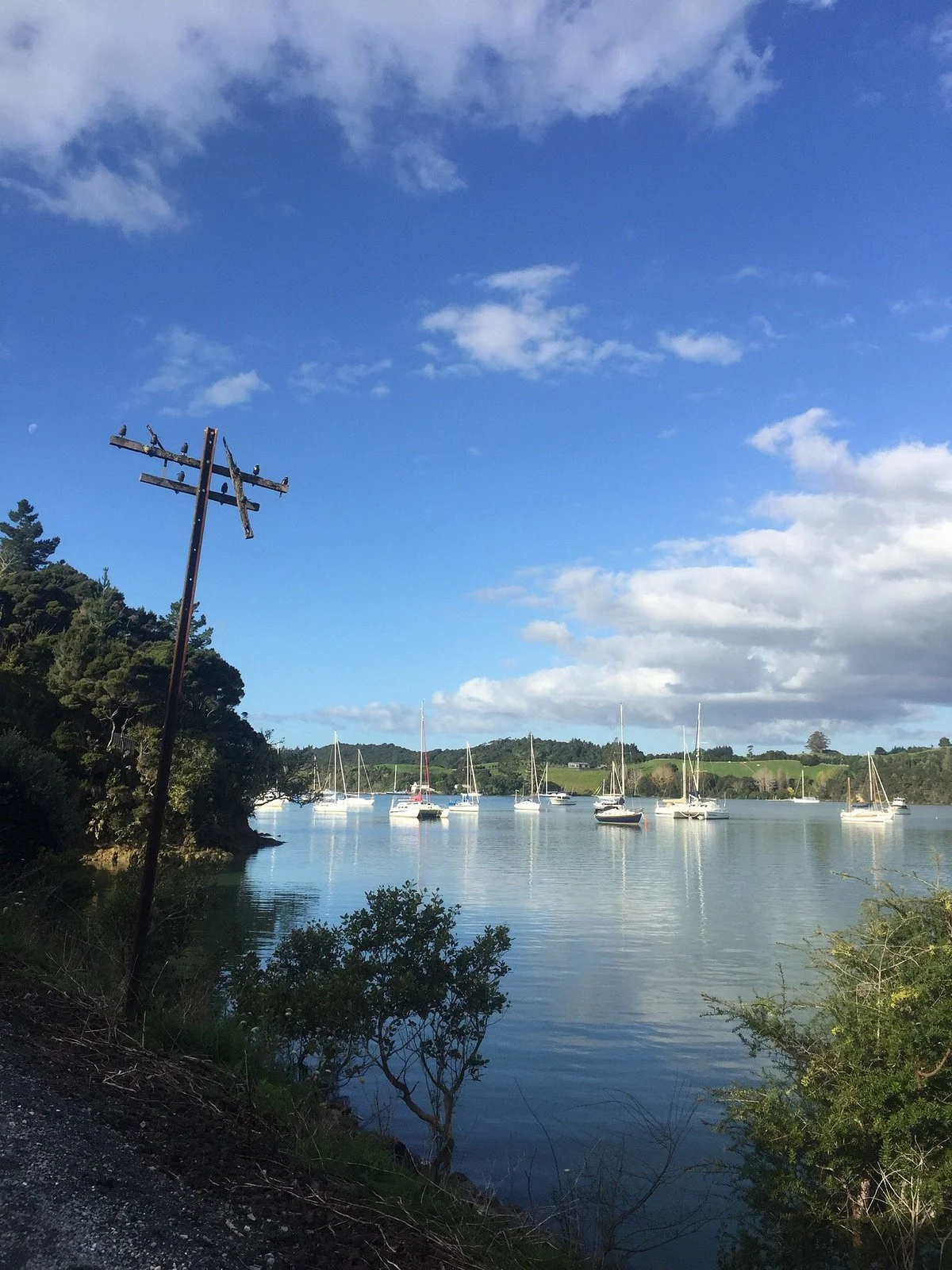 Twin Coast Cycle Trail Northland