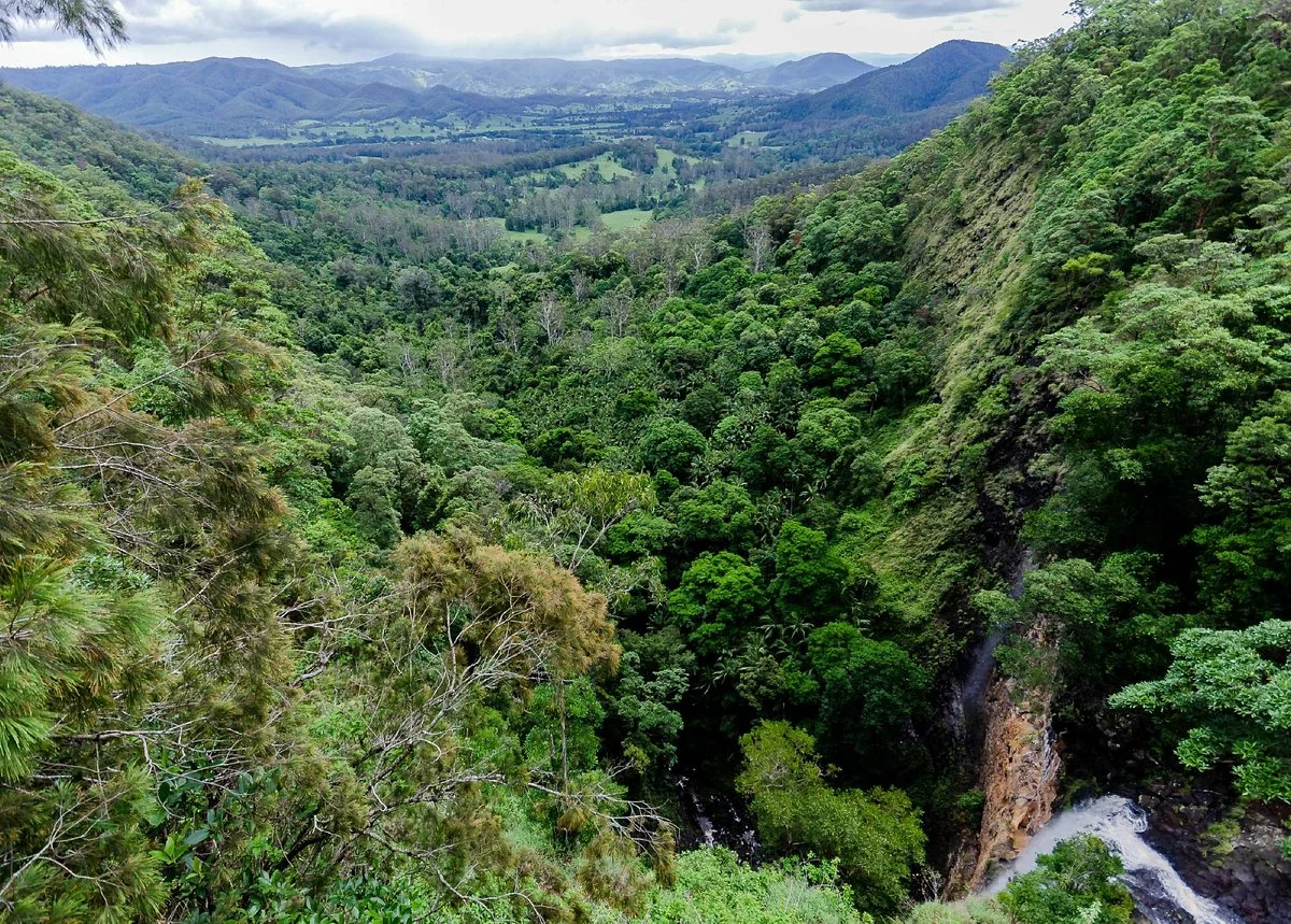 Mapleton Falls National Park