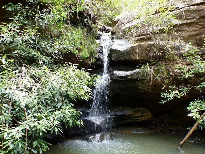 Birdwood Gully Park