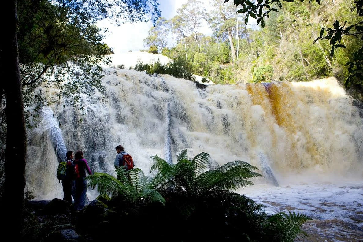 Dip River Forest Reserve