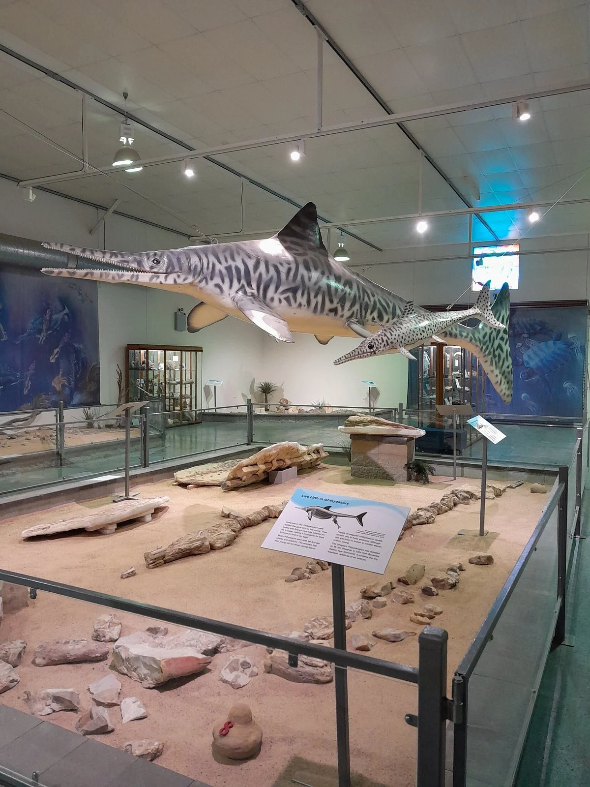Kronosaurus Korner