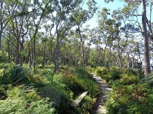 Tilligerry National Park