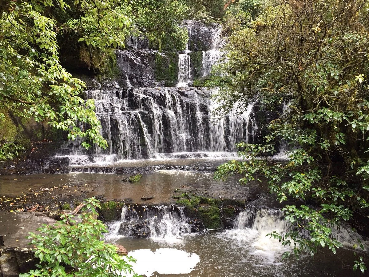 Matai Falls Walk