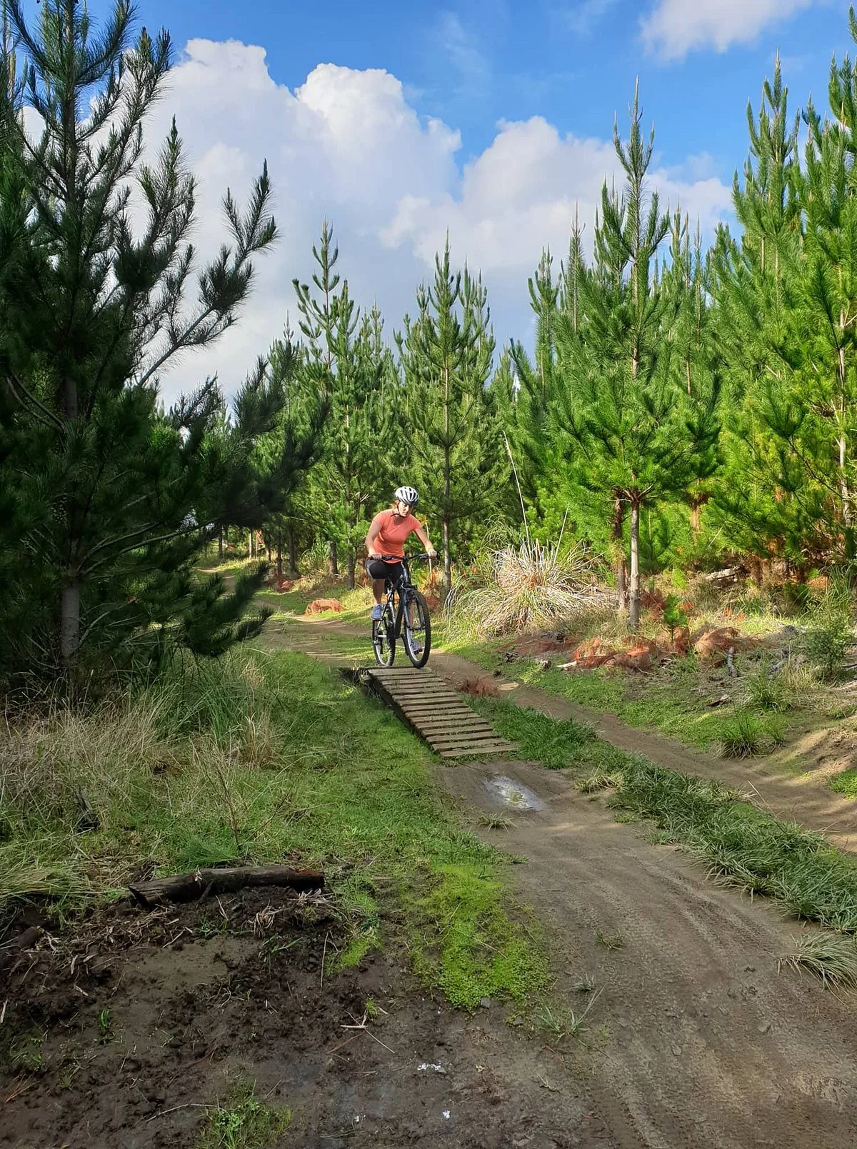 Woodhill Mountain Bike Park