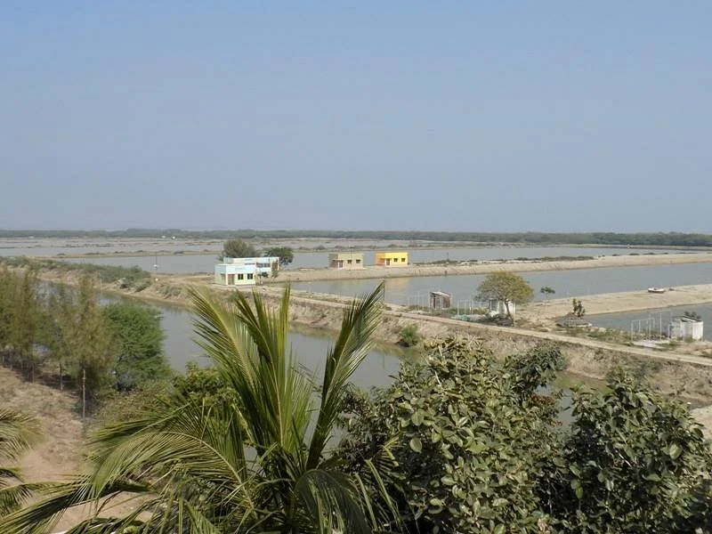 Bakkhali Watch Tower