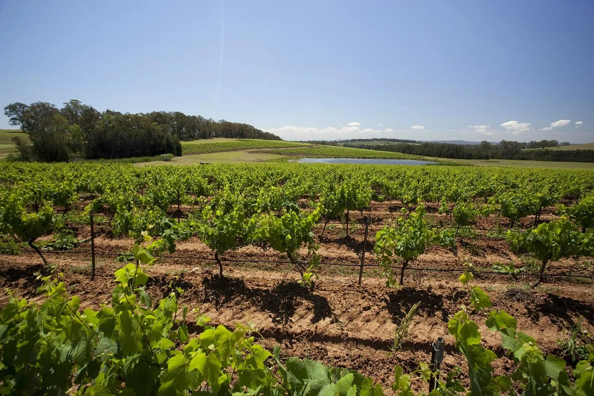 Capercaillie Wine Company