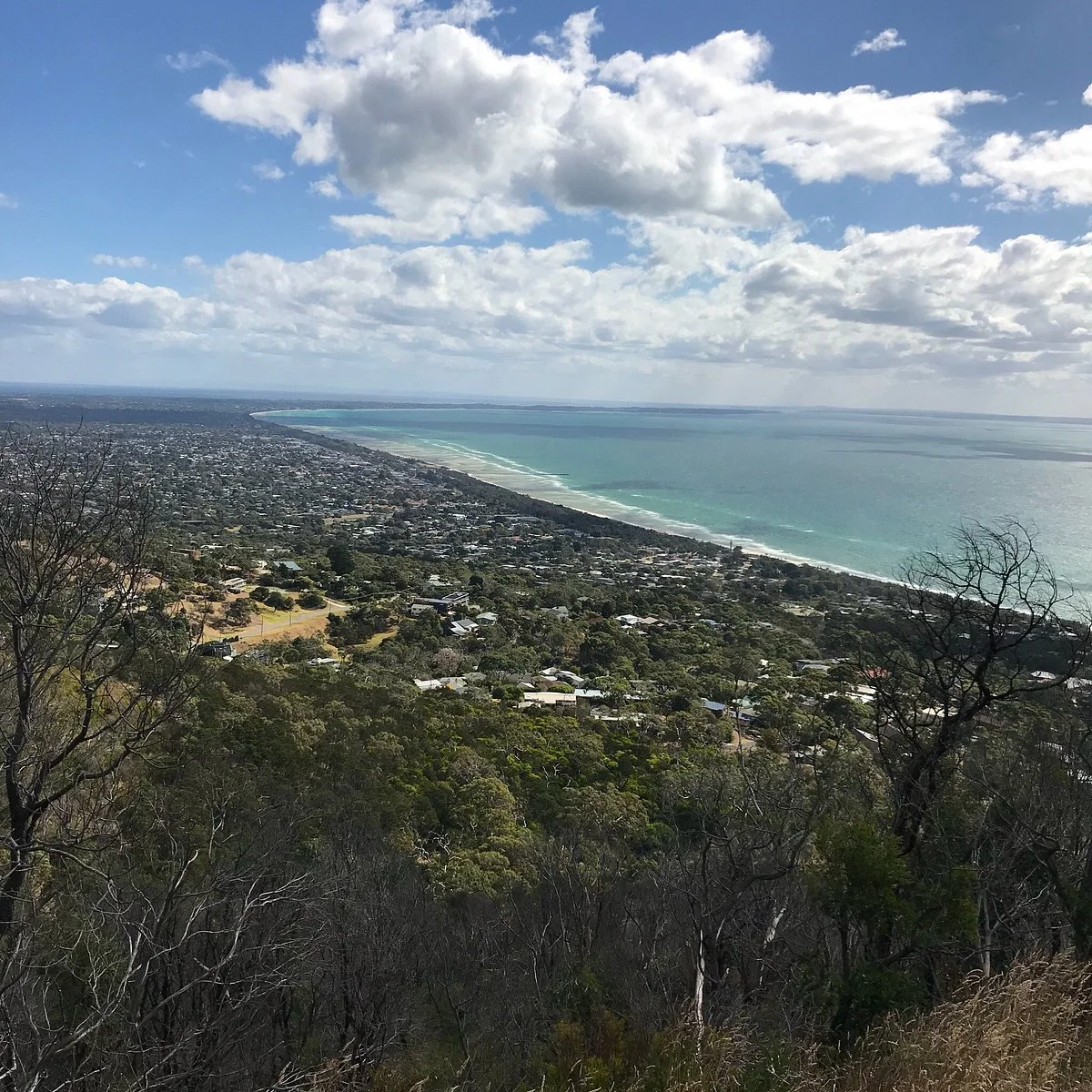 Murray Mouth Lookout