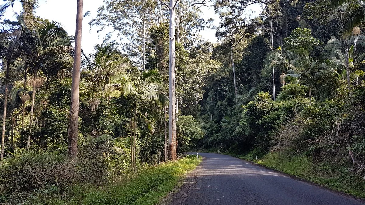 Yabbra National Park