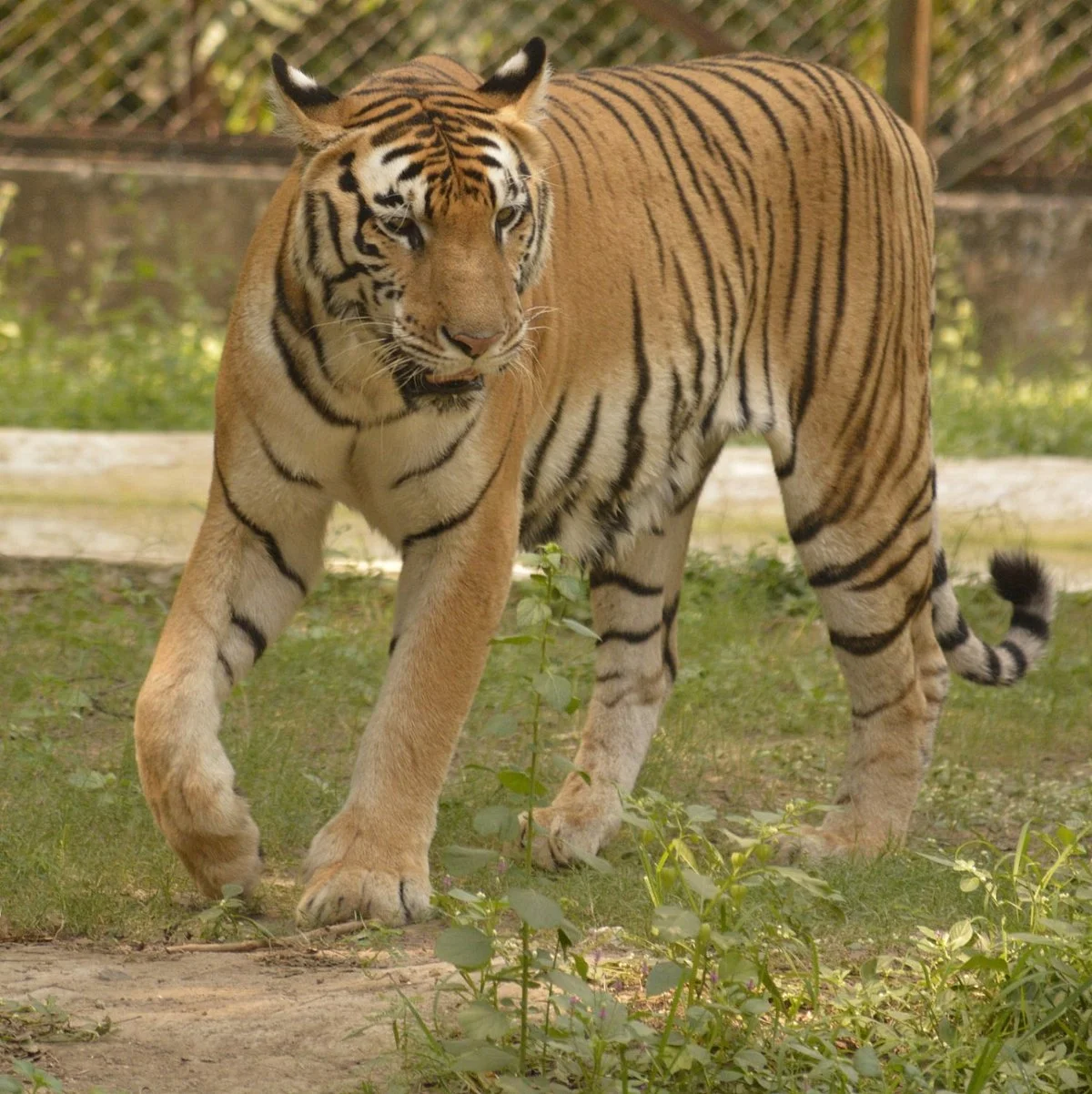 Sarthana Nature Park
