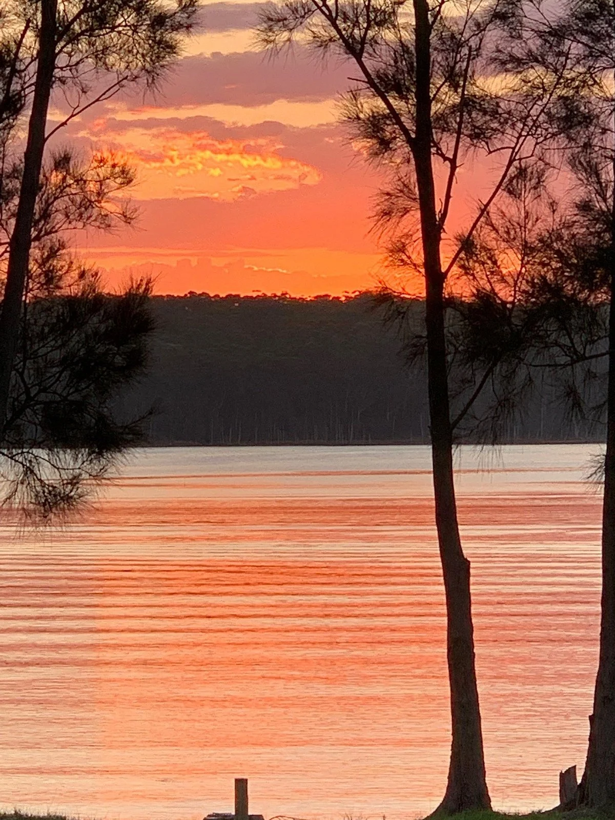 Burrill Lake