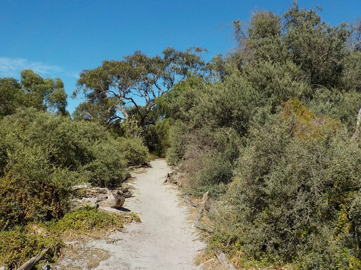 Donald MacDonald Reserve