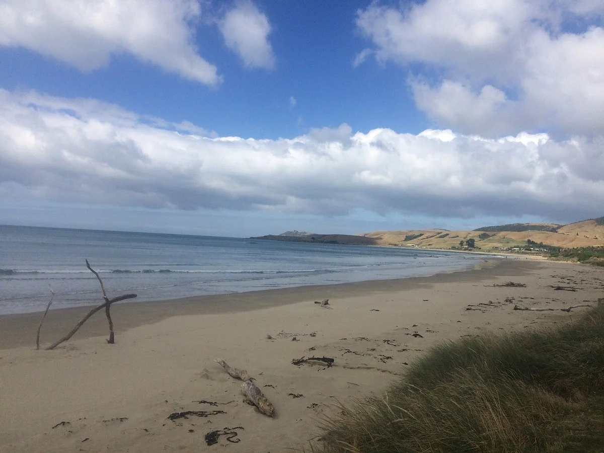 Kaka Point Scenic View Point & Picnic Area