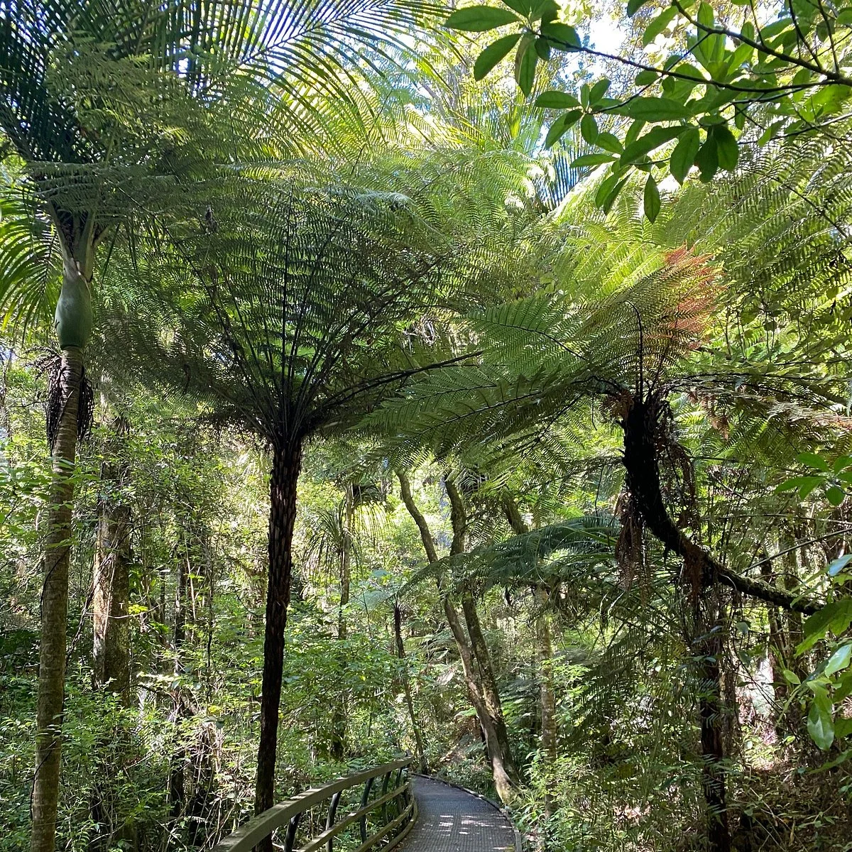 Puketi Nature Trail