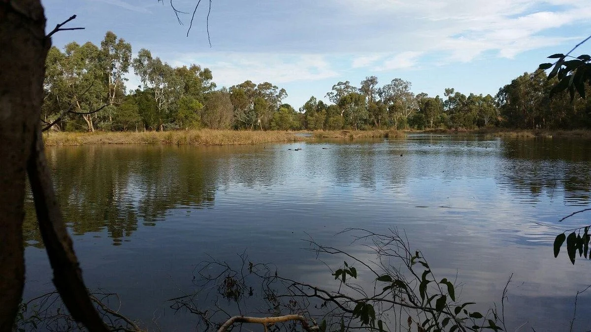 Laratinga Wetlands