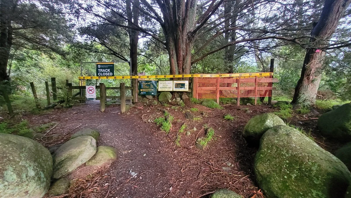 Wairere Falls Track