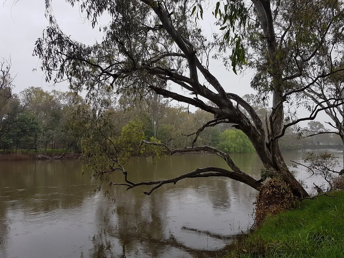 Murray River Trail