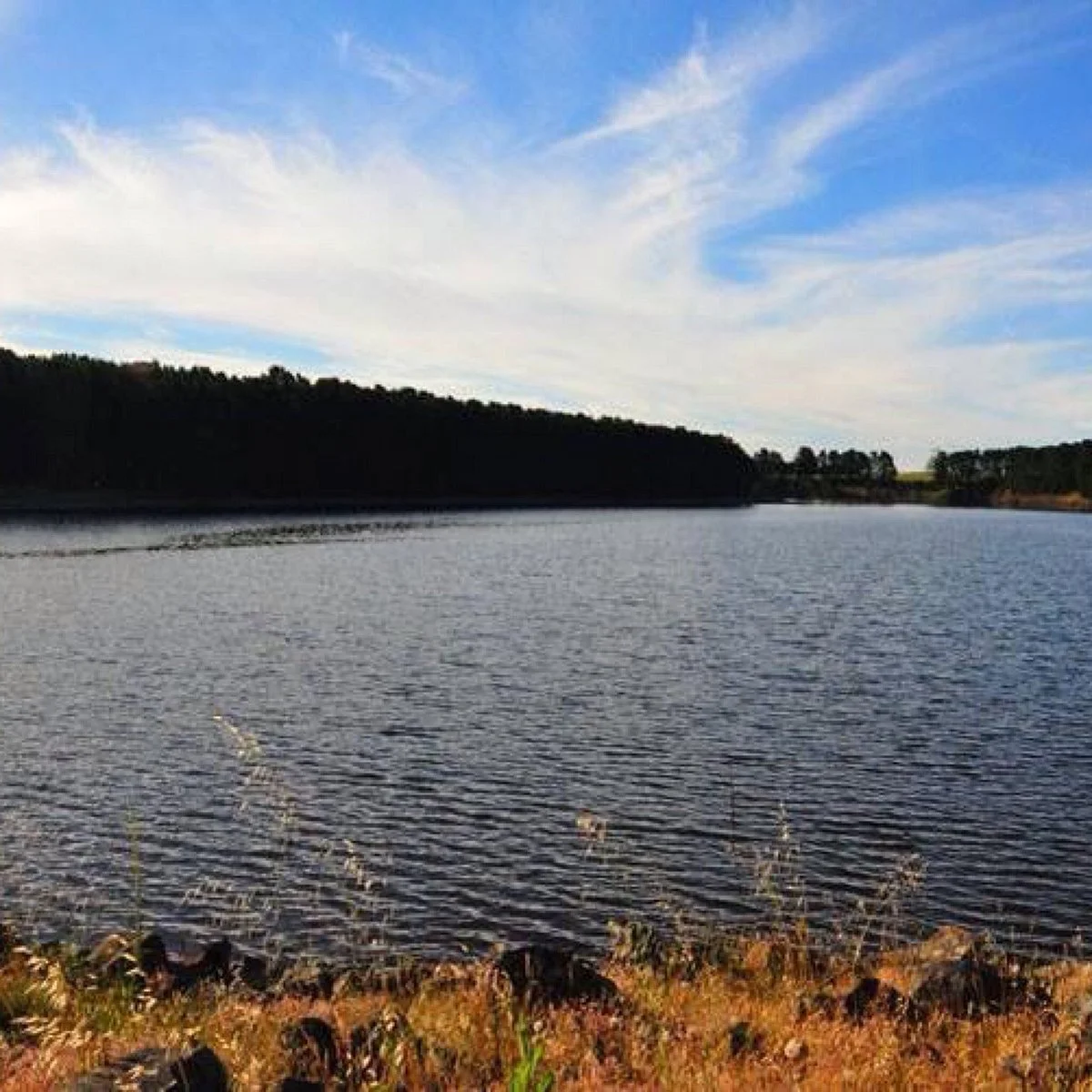 Bostock Reservoir