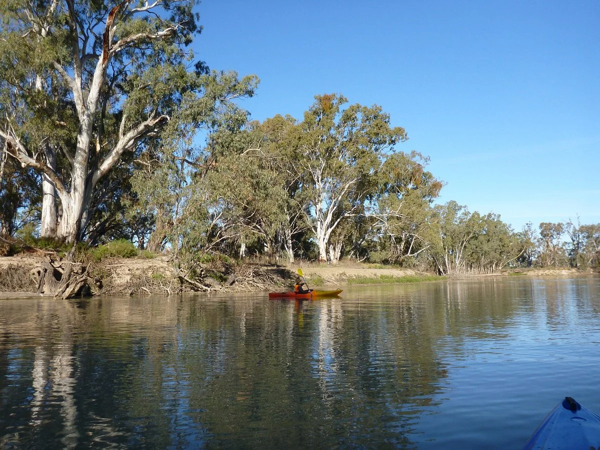 Murray River National Park