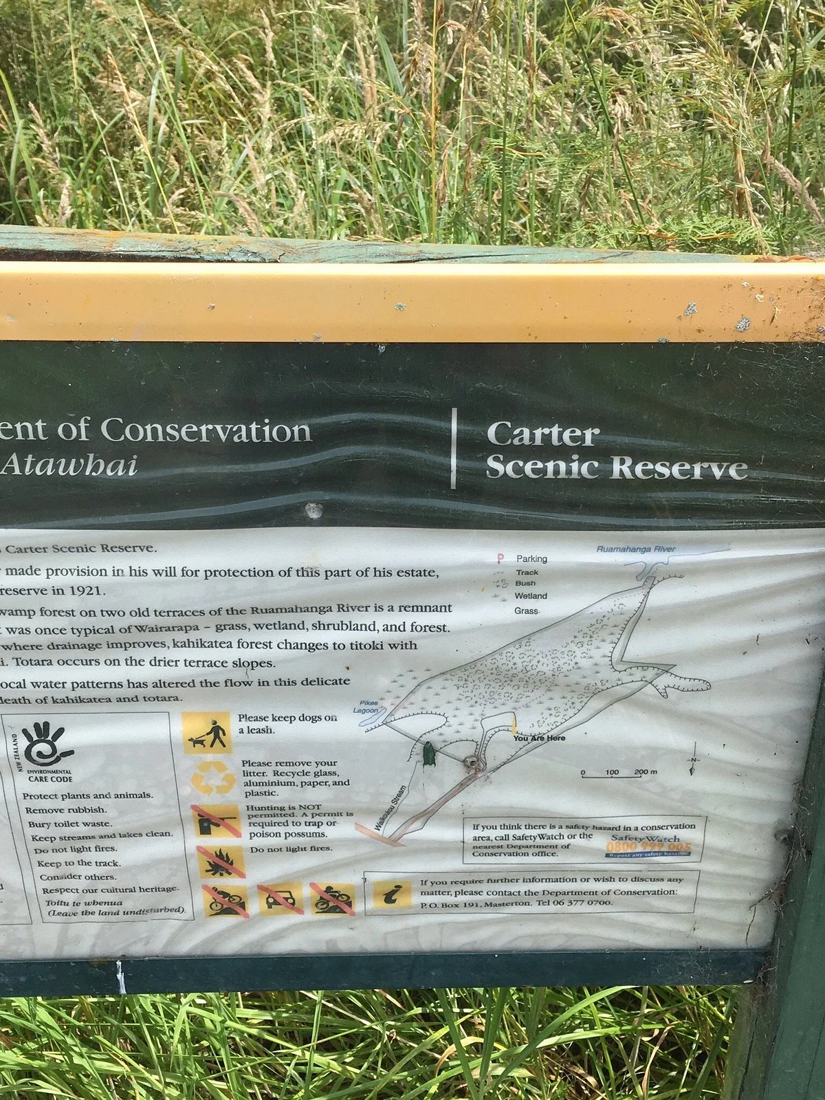 Carter Scenic Reserve