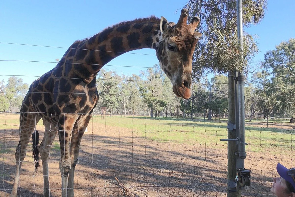 Altina Wildlife Park