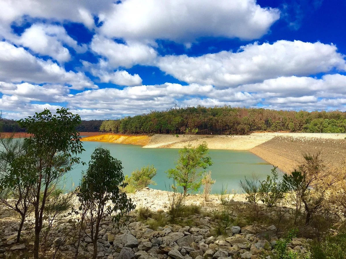 Lake Navarino Forest Park